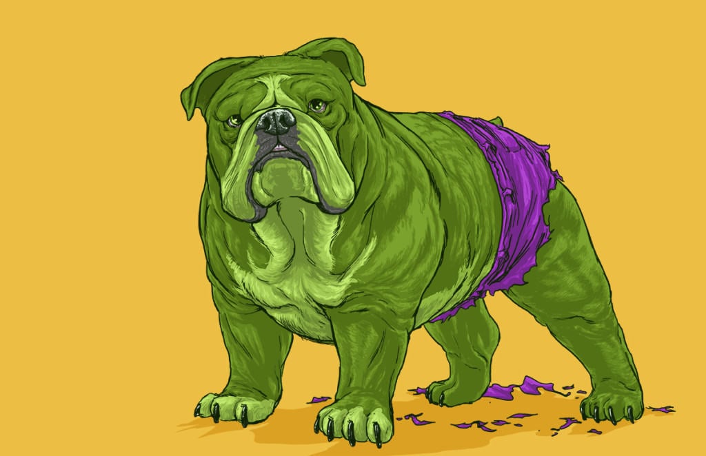 Vamers - Artistry - Fandom - Artist Josh Lynch Imagines Dogs as Superheroes from the Marvel Universe - Hulk