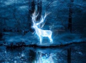 vamers-fyi-geekosphere-pottermore-now-lets-you-discover-your-patronus-banner-01