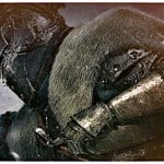 Dark Souls 2 gets a "making of" featurette that showcases new game mechanics and beautiful world design.