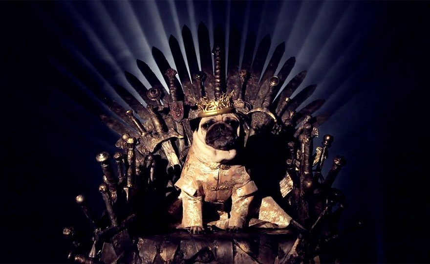 Vamers - Geekosphere - Mash-Up - The Pugs of Westeros star in A Game of Bones Dinner is Coming - King Joffrey