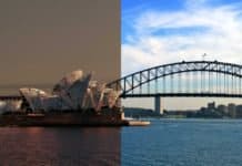 The World of The Last of Us: Envisioning a Post Apocalyptic Future