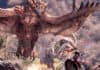 New Monster Hunter World PC graphics update is coming