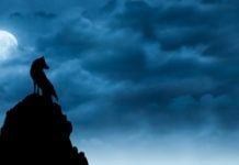 The Halloween Moon harbours a foreboding secret