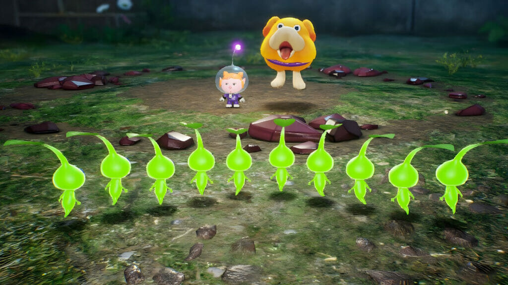 Serene exploration meets strategic chaos in Pikmin 4, as challenging puzzles and notorious features make an iconic comeback.